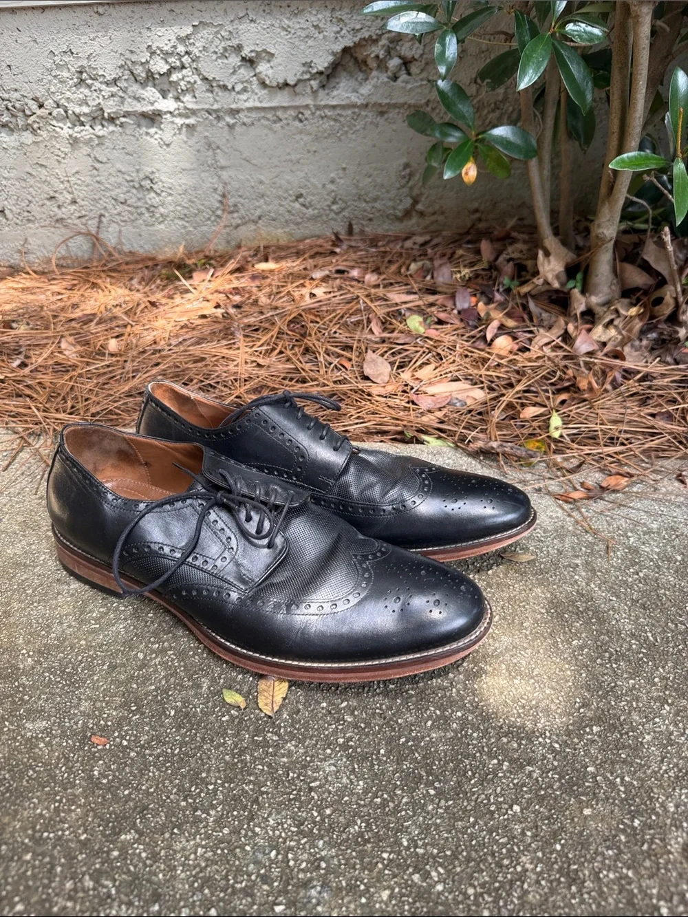 Johnston & Murphy Black Leather Wingtip Oxfords with Brown Sole